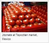 Jitomate at Tepoztlan market, Mexico