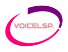 VOICELSP. Language Translation Notary 